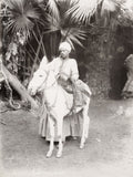 Cairo Donkey Driver Egyptian Man Rider Turban Palm Trees Egypt Vtg. Photo 19thC.