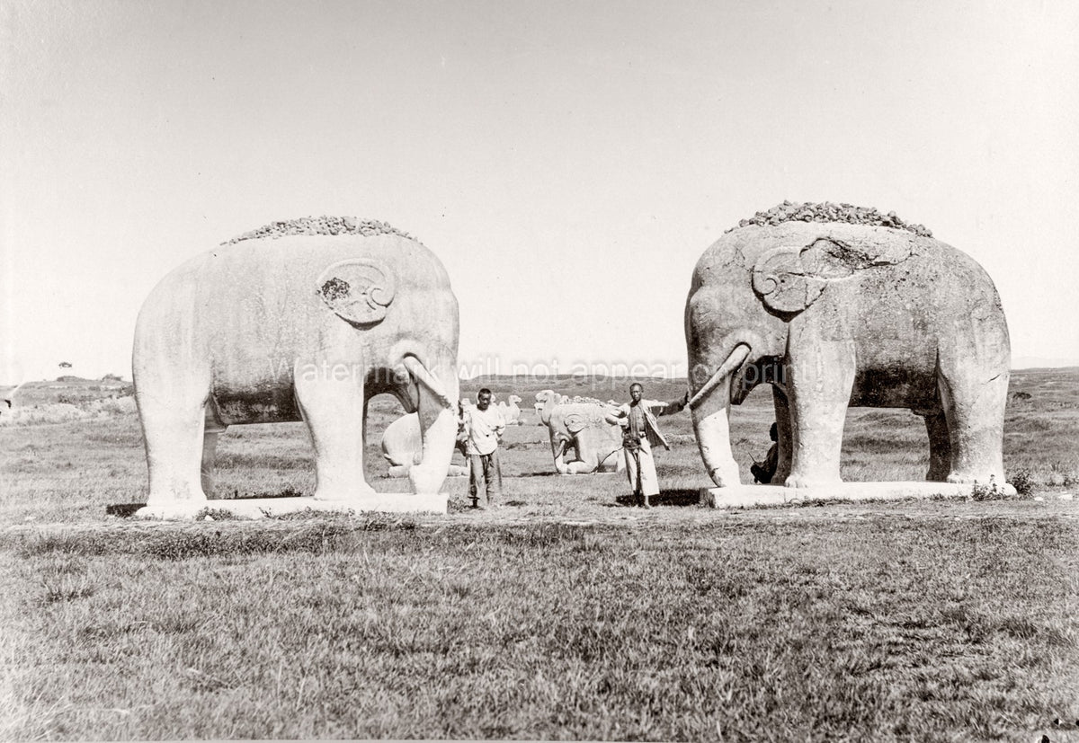 China Ming Tombs Elephant Statues Ancient Sculptures Road Vtg. Photo 19thC.