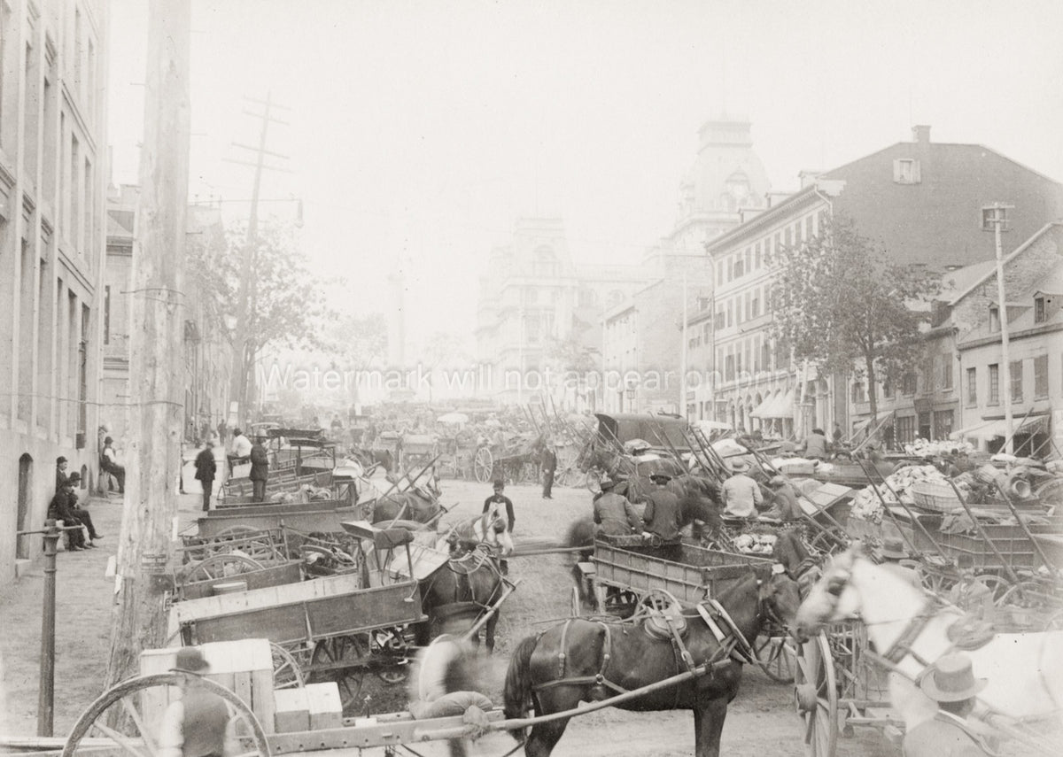 Montreal Canada Market Place Traders Horses Carts Street Scene Vtg. Photo 19thC.