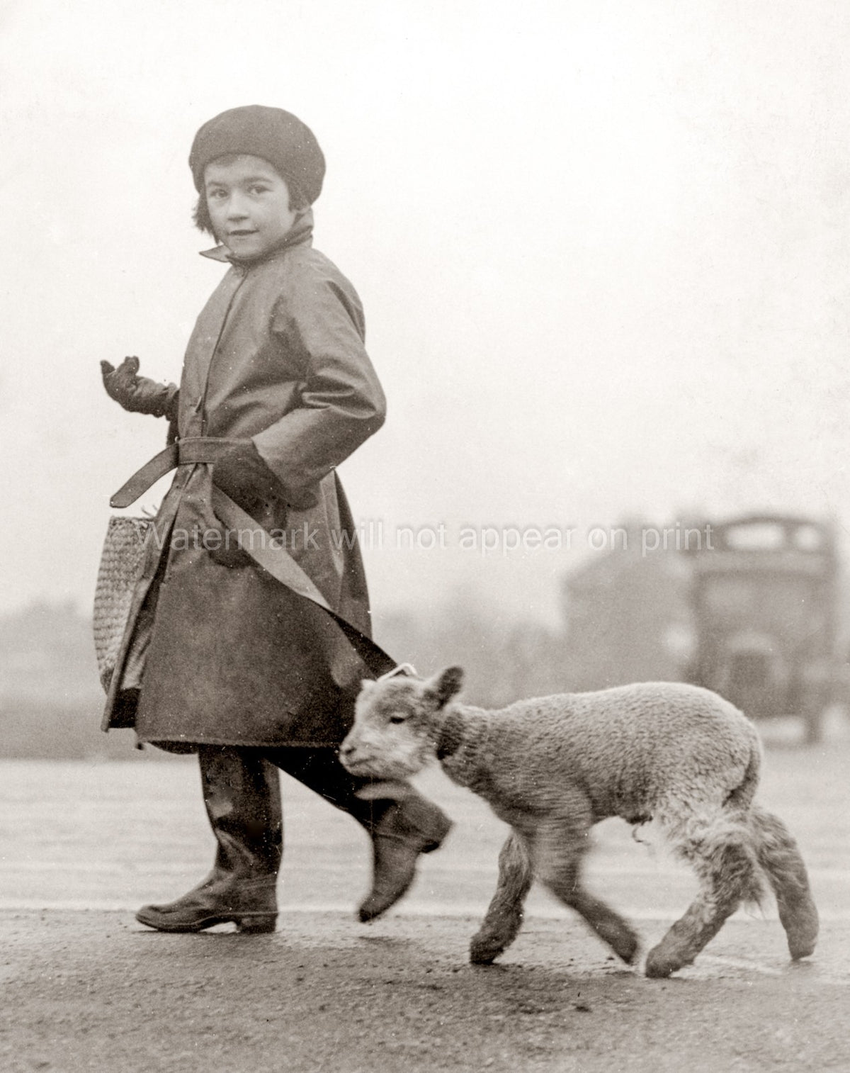 Epping Little Girl Walking Pet Lamb Shops Raincoat Boots Vtg. Photo 20thC.