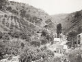 Adelaide Australia Waterfall Gully Landscape Rustic Buildings Vtg. Photo 19thC.