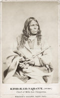 Chief Kish-Kah-Nah-Cut The Stump Mille Lac Chippewa Portrait Vtg. Photo 19thC.