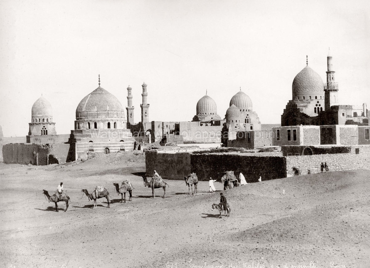 Cairo Egypt Tombs Caliphs Mamluk Necropolis Camel Train Vtg. Photo 19thC.