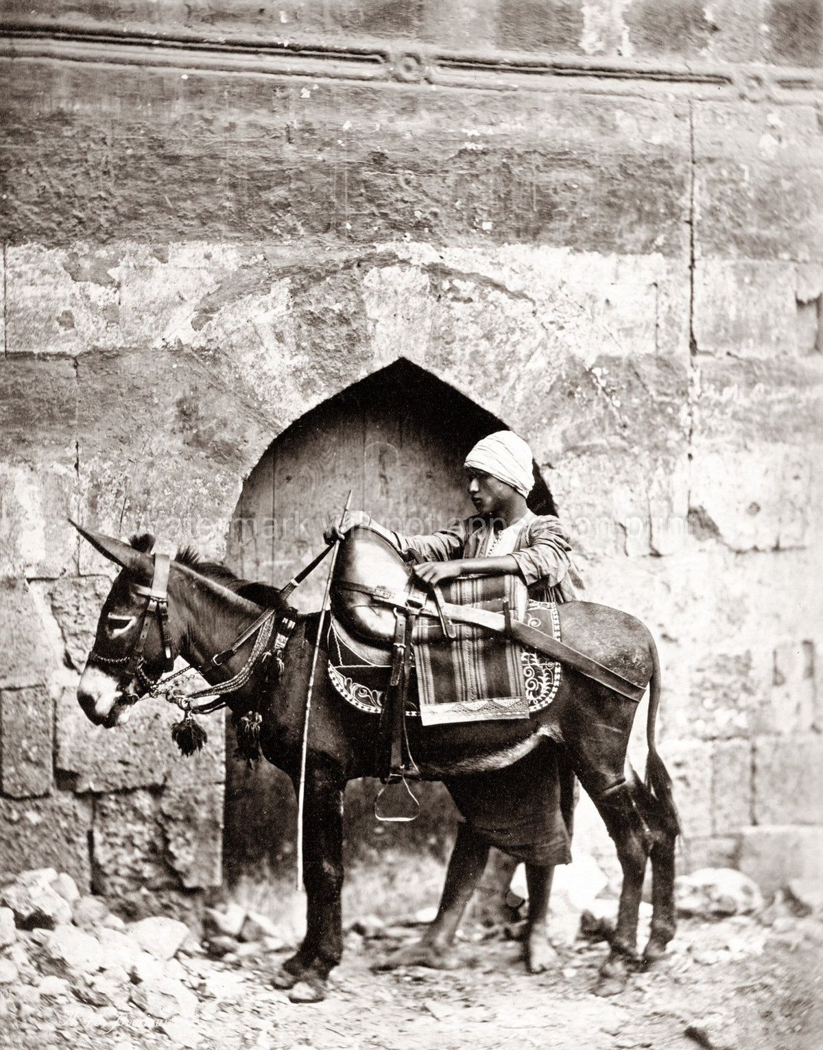 Cairo Egypt Man Transport Donkey Turban Saddle Street Scene Vtg. Photo 19thC.
