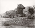 Mysore India Chamundi Hill Stone Bull Nandi Statue Sculpture Vtg. Photo 19thC.