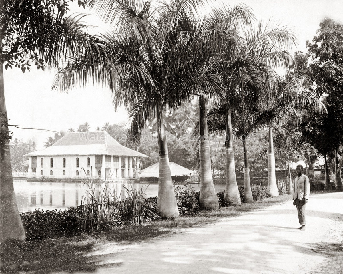Man Kandy Lake Ceylon Sri Lanka Palm Trees Tropical Road Vtg. Photo 19thC.