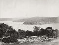 Middle Harbour Port Jackson Sydney Australia Coastline Vtg. Photo 19thC.