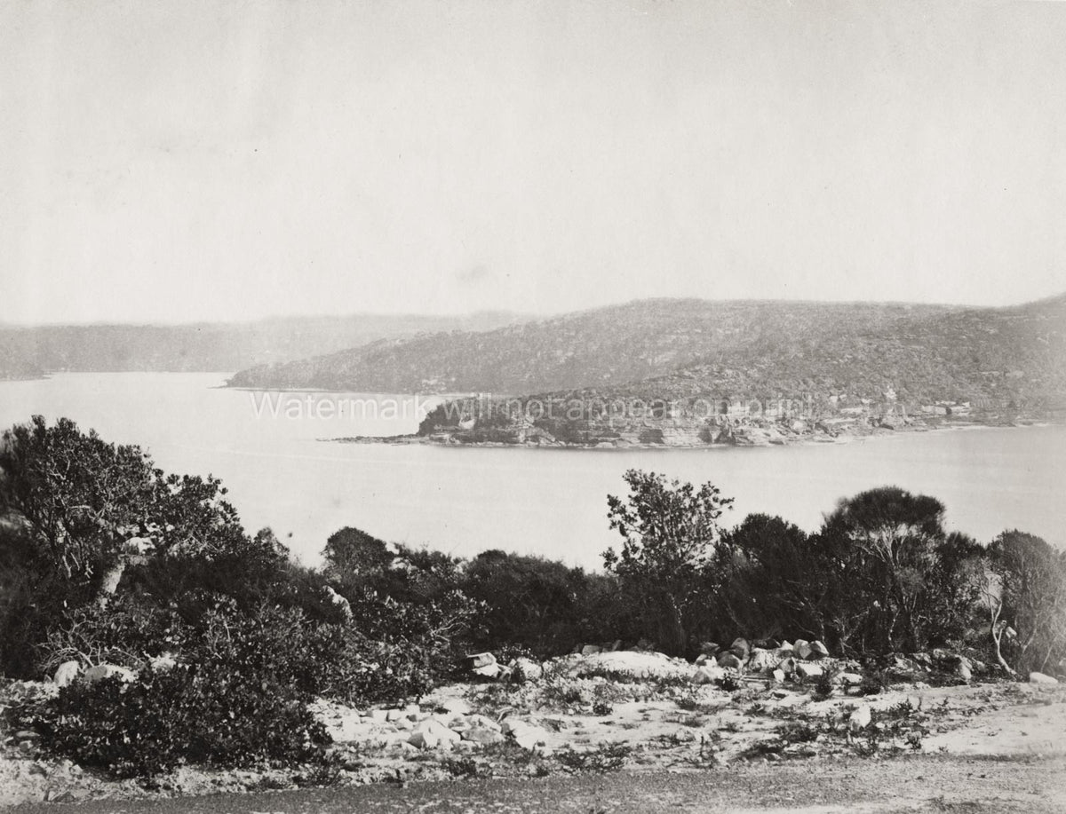 Middle Harbour Port Jackson Sydney Australia Coastline Vtg. Photo 19thC.