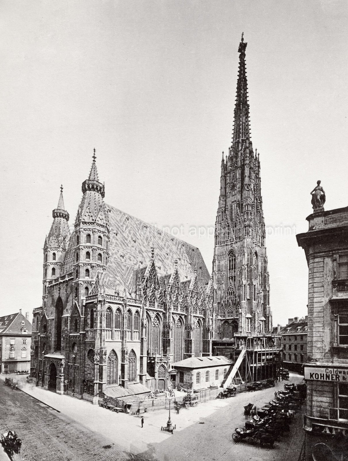 St. Stephen's Cathedral Vienna Austria Gothic Architecture Vtg. Photo 19thC.