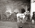 Lord Lady Roberts India Horse Carriage Victorian Couple Vtg. Photo 19thC.