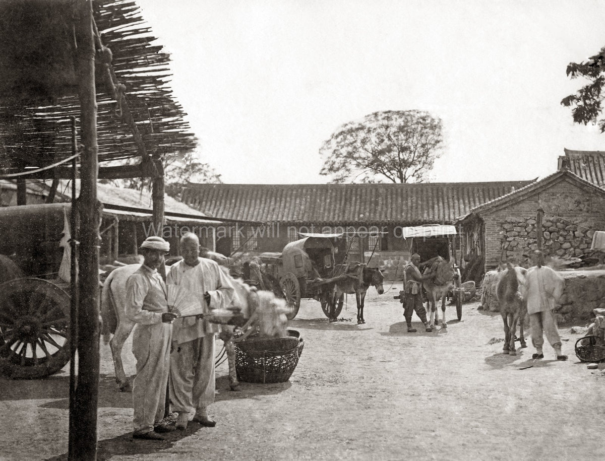 China Mule Carts Men Street Scene Village Transportation Vtg. Photo 19thC.