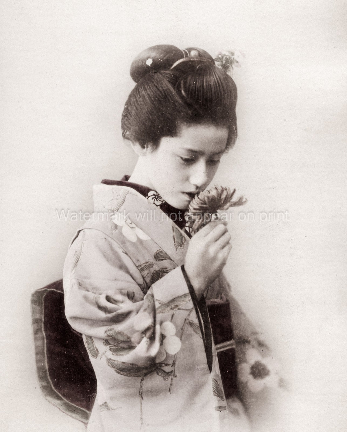 Young Japanese Woman Kimono Hairstyle Flower Portrait Geisha Vtg. Photo 19thC.