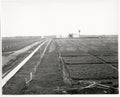 Kapuskasing Ontario Experimental Farm Agriculture Rural Fields Vtg. Photo 20thC.