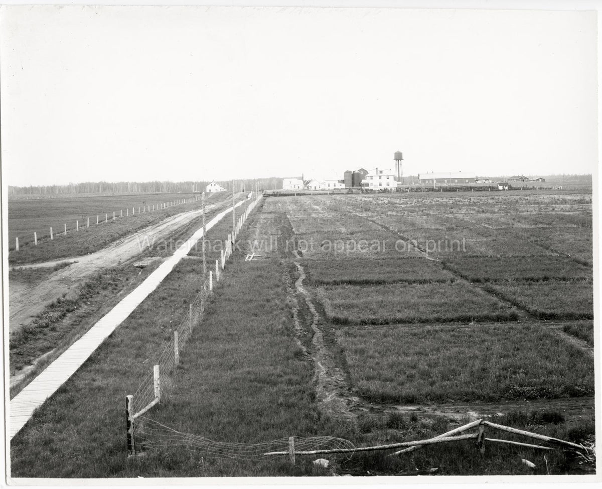 Kapuskasing Ontario Experimental Farm Agriculture Rural Fields Vtg. Photo 20thC.