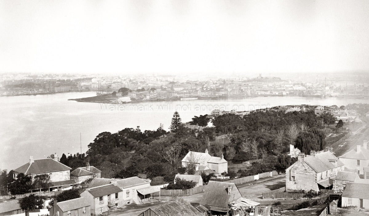 Sydney Harbour Australia Cityscape Historic View Buildings Vtg. Photo 19thC.