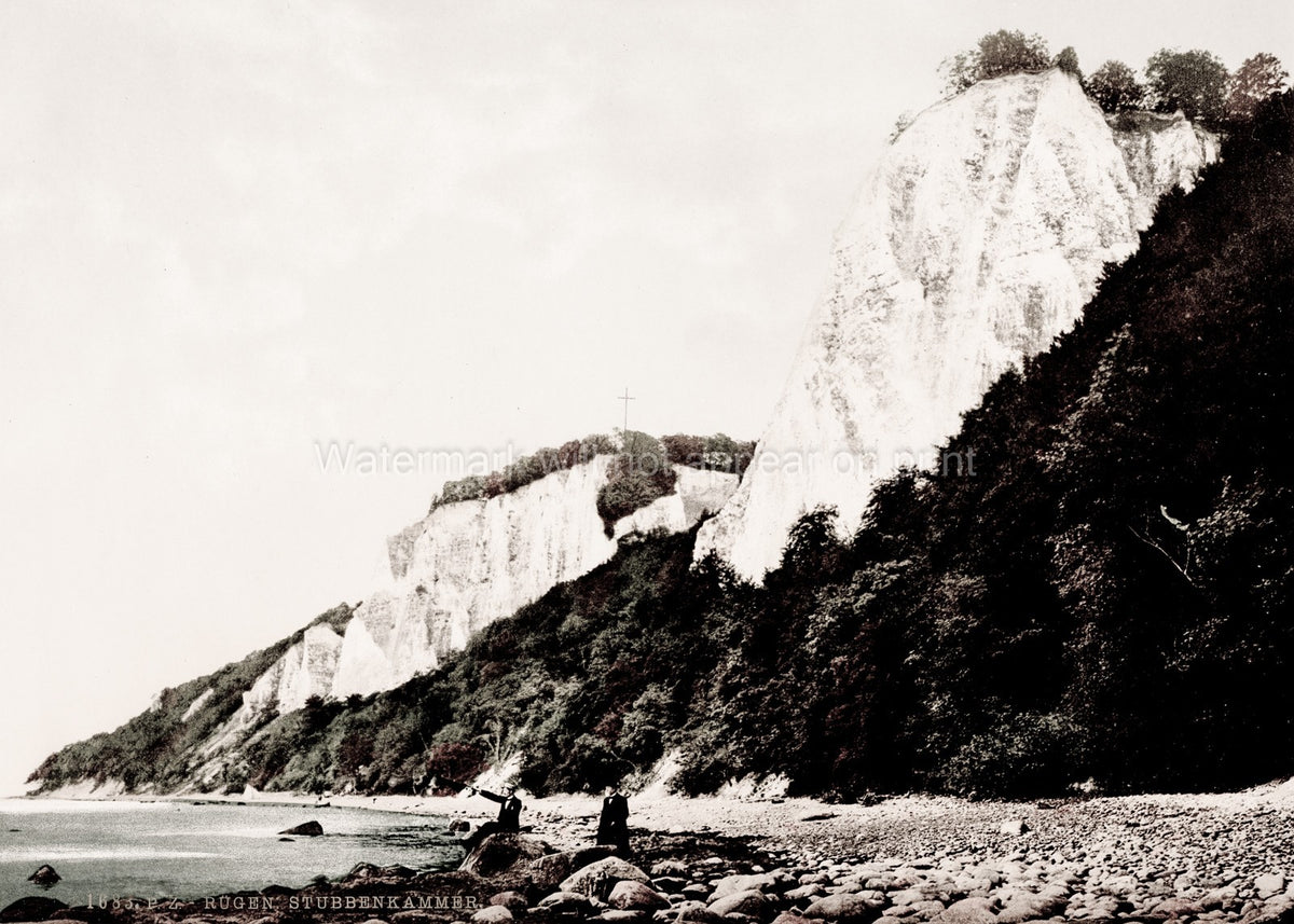 Rgen Germany Stubbenkammer Cliffs Jasmund Park Coastline Vtg. Photo 19thC.