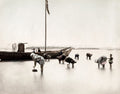 Japan Picking Shellfish Women Children Foraging Shore Vtg. Photo 19thC.