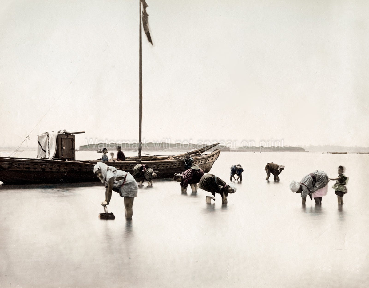 Japan Picking Shellfish Women Children Foraging Shore Vtg. Photo 19thC.