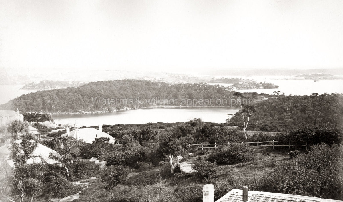 Sydney Harbour Australia Coastal View Bushland Houses Bay Vtg. Photo 19thC.