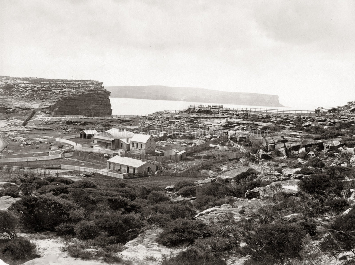 Sydney Harbour Heads Australia Coastal Cliffs Settlement Vtg. Photo 19thC.