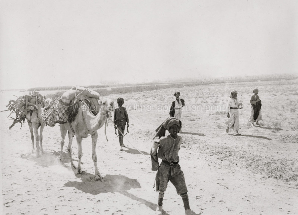 Iraq Mesopotamia Camel Transport Caravan Desert People WW1 Vtg. Photo