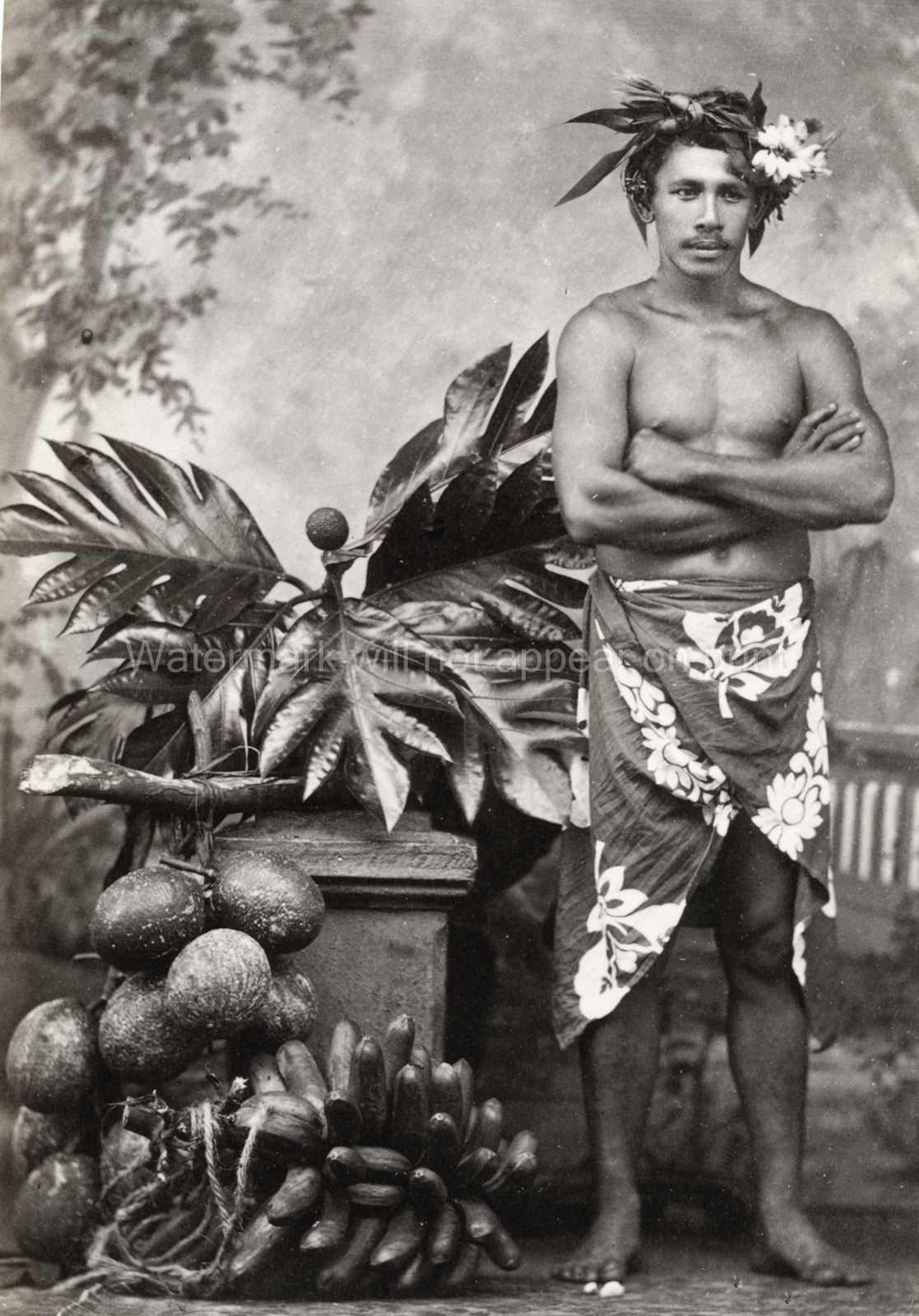 Fiji Tahiti Samoa Man Studio Portrait Native Headdress Fruit Vtg. Photo 19thC.