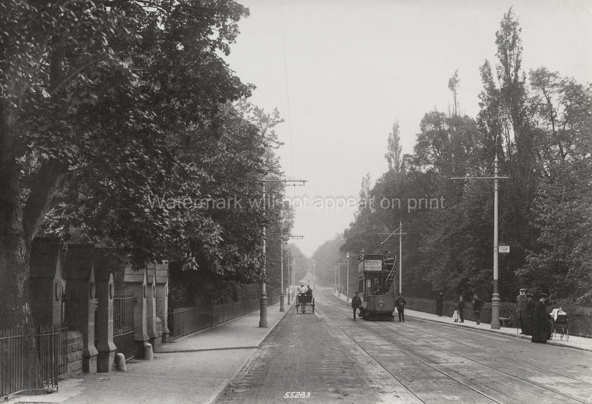 Chester Cemetary Road Tramway Horse-Drawn Carriage People Vtg. Photo 19thC.