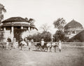 India European Couple Pony Trap Horse Servants Colonial Estate Vtg. Photo 19thC.