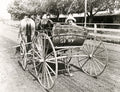 California Woman Smiling Horse Cart Buggy Rural Road Vtg. Photo 20thC.