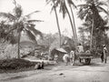 Bengal India Village Life Scene Palm Trees Huts Ox Cart Vtg. Photo 19thC.