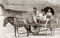 Philippines Pony Trap Calesa Cart Rural Family Native Life Vtg. Photo 19thC.