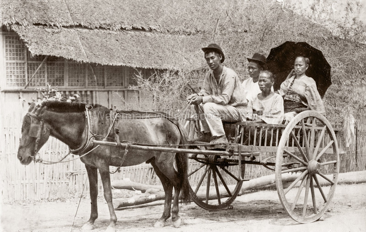 Philippines Pony Trap Calesa Cart Rural Family Native Life Vtg. Photo 19thC.