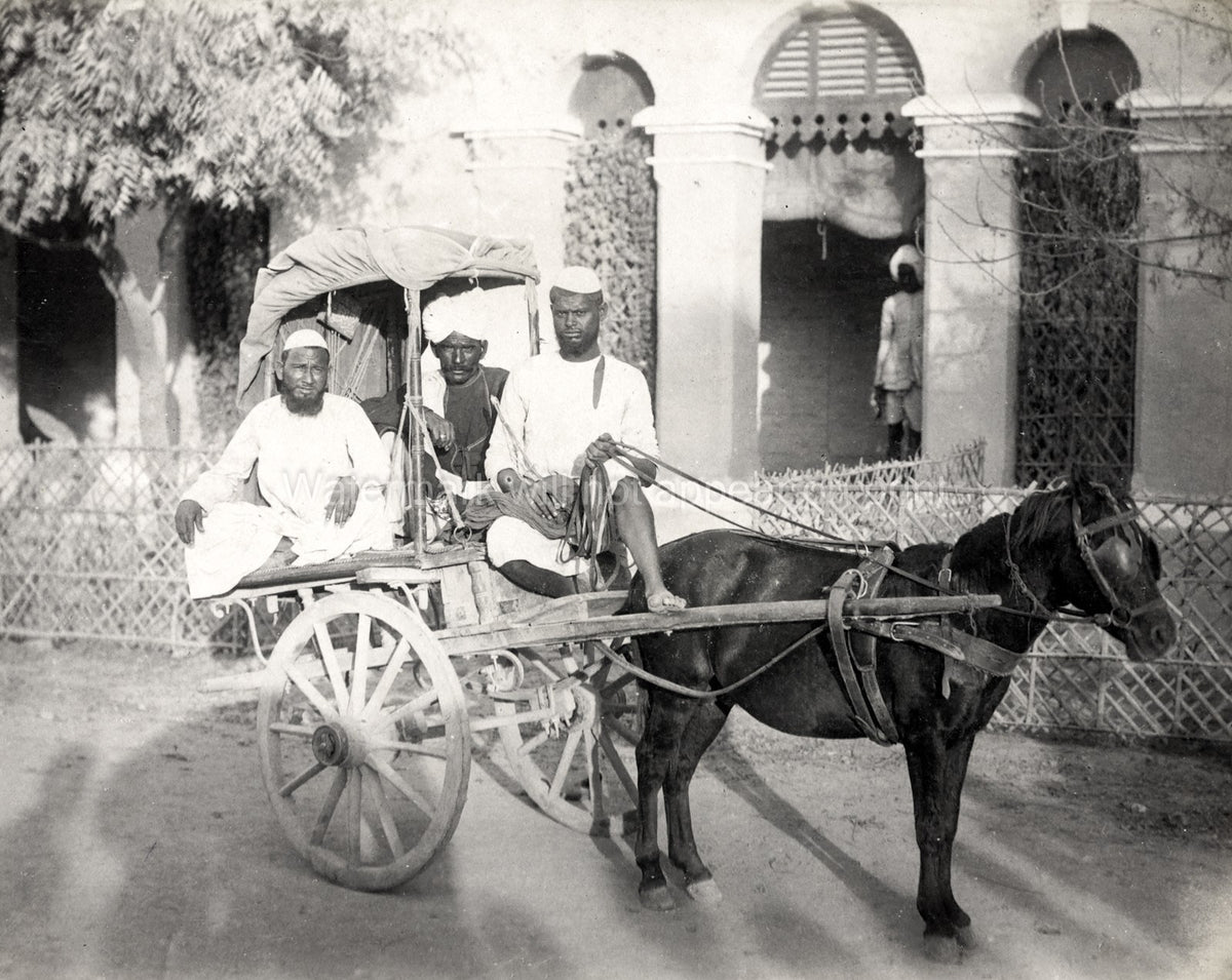 India Pony Carriage Hackney Men Turban Cart Transportation Vtg. Photo 19thC.