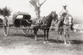 Cuba Volante Horse Carriage Driver Rider Rural Countryside Vtg. Photo 19thC.
