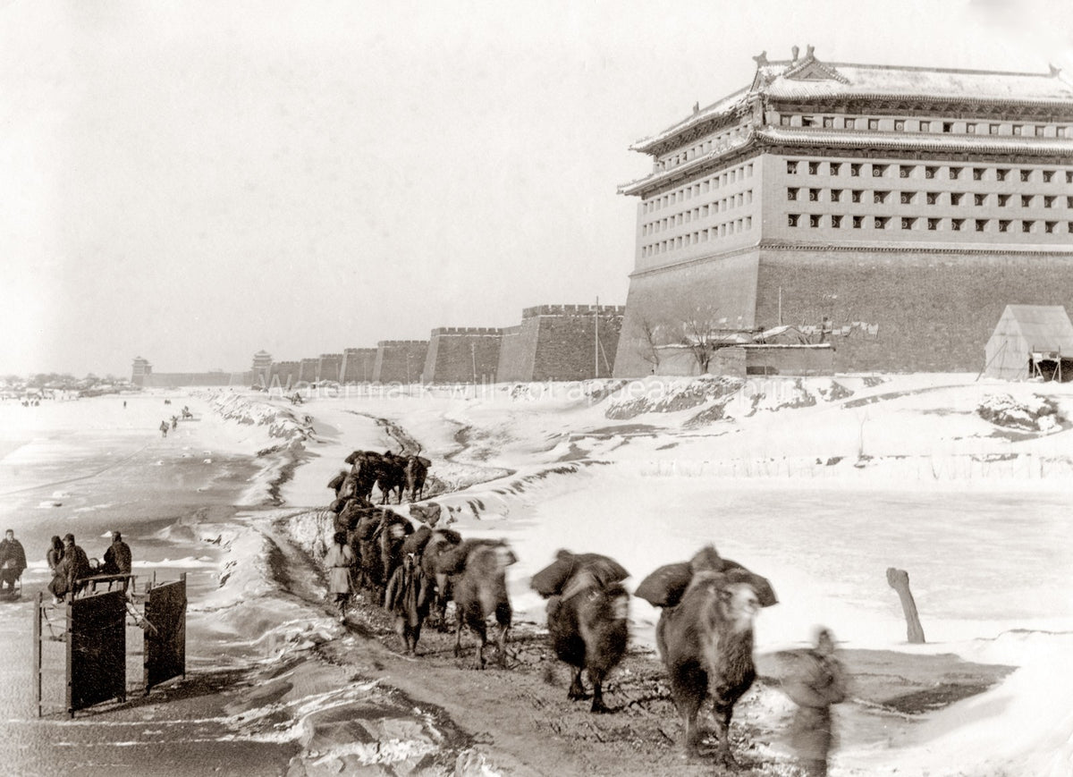 Peking Beijing China City Walls Camels Caravan Snow Winter Vtg. Photo 20thC.