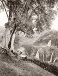 Tivoli Waterfalls Rome Italy Man Olive Tree Scenic View Vtg. Photo 19thC.