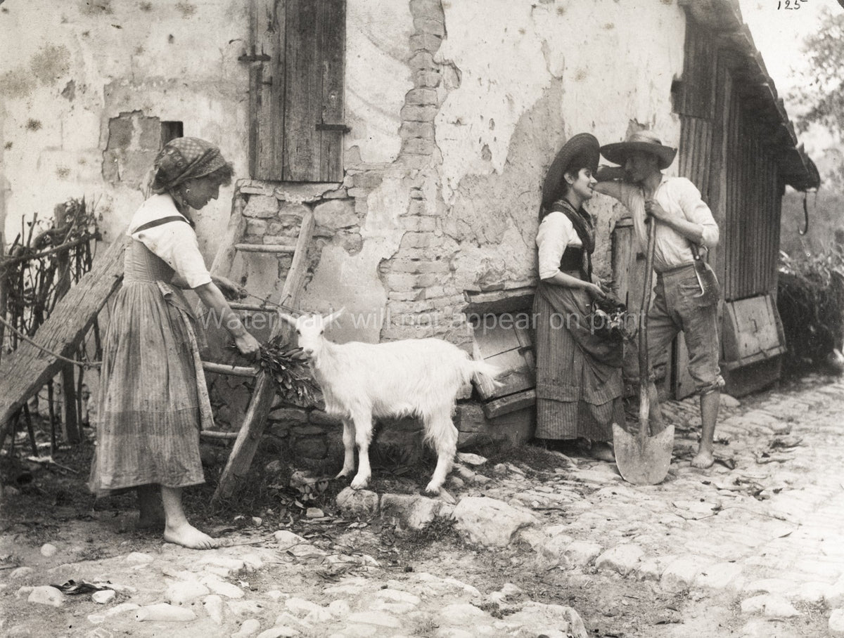 Italy Rural Scene Young Amorous Couple Girl Feeding Goat Farm Vtg. Photo 19thC.