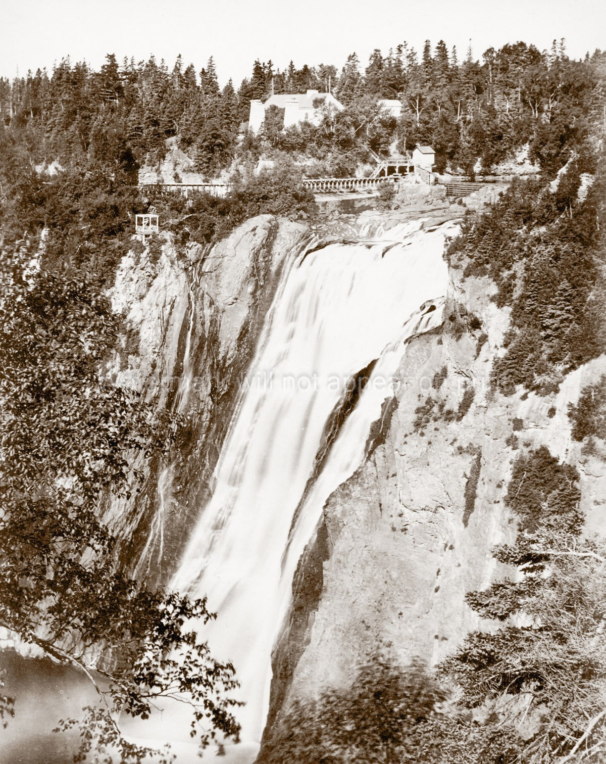Yosemite Valley Waterfall Cliffs Forest Bridge Nature Vtg. Photo 19thC.