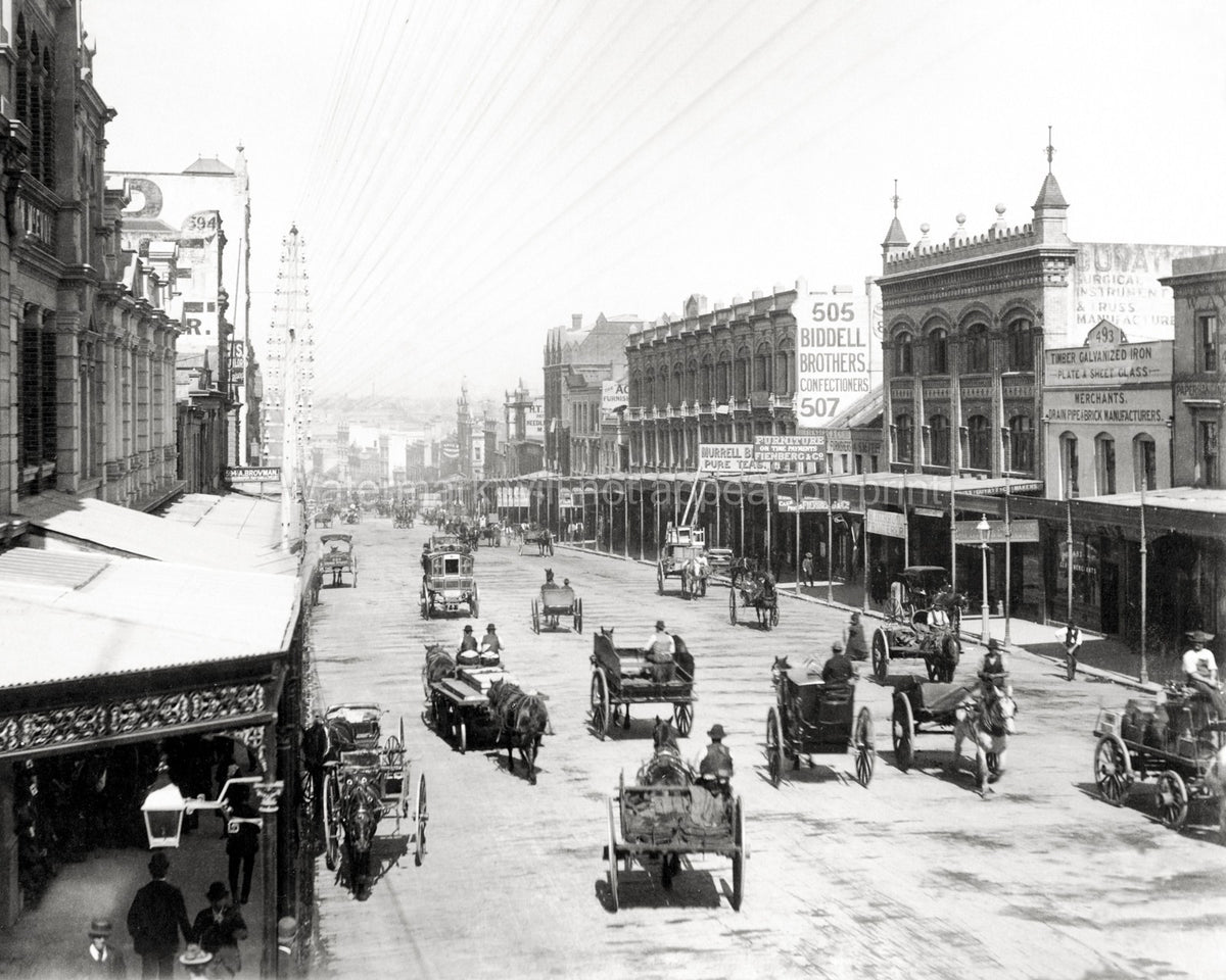 George Street Sydney Australia Horses Carriages Cityscape Vtg. Photo 19thC.