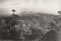 India Darjeeling Sandakphu Himalayas Mountain Range Vtg. Photo 19thC.