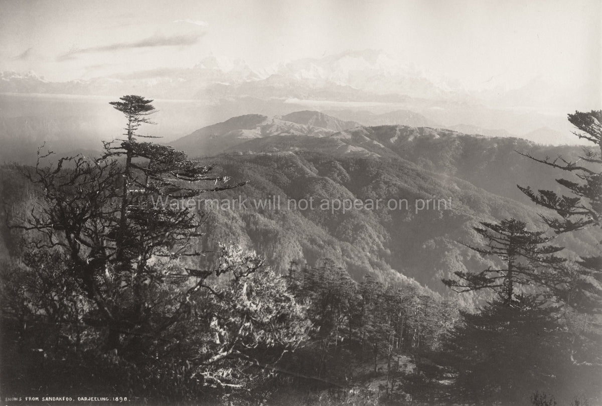 India Darjeeling Sandakphu Himalayas Mountain Range Vtg. Photo 19thC.