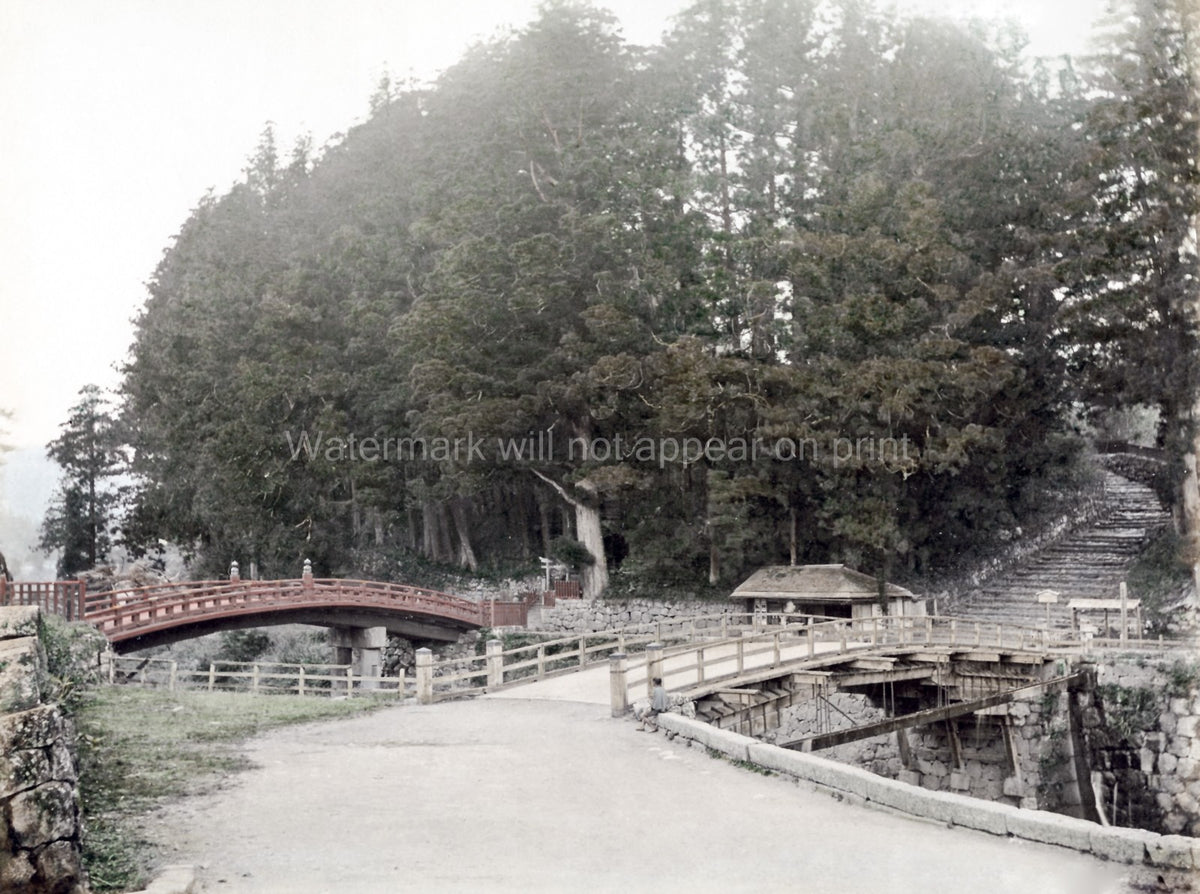 Nikko Japan Sacred Lacquer Bridge Forest Landscape Stairs Vtg. Photo 19thC.