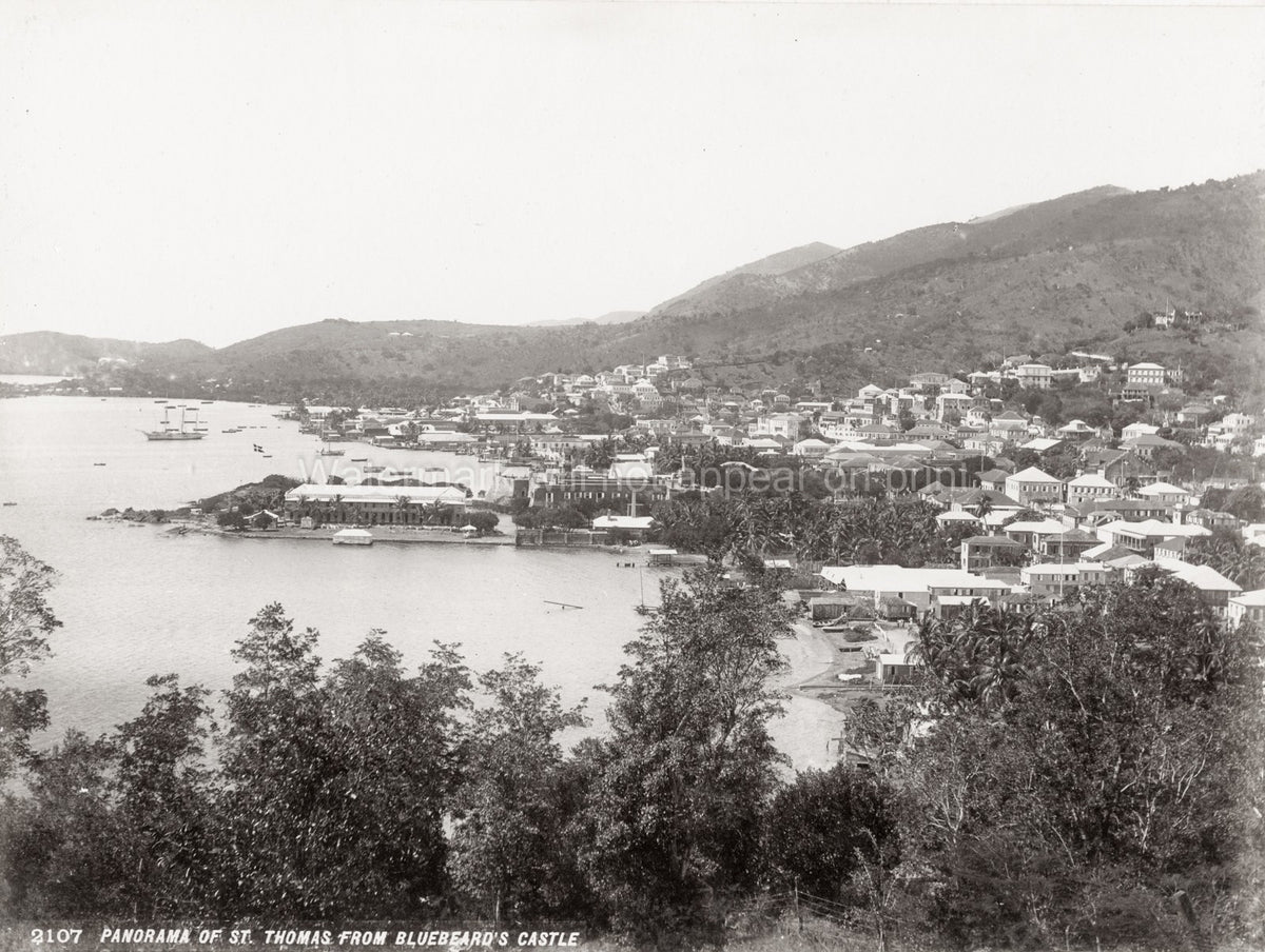 Panorama St. Thomas Harbor Bay Bluebeard's Castle Vtg. Photo 19thC.