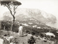 Capri Italy Island View Woman Pine Tree Mountains Coastline Vtg. Photo 19thC.