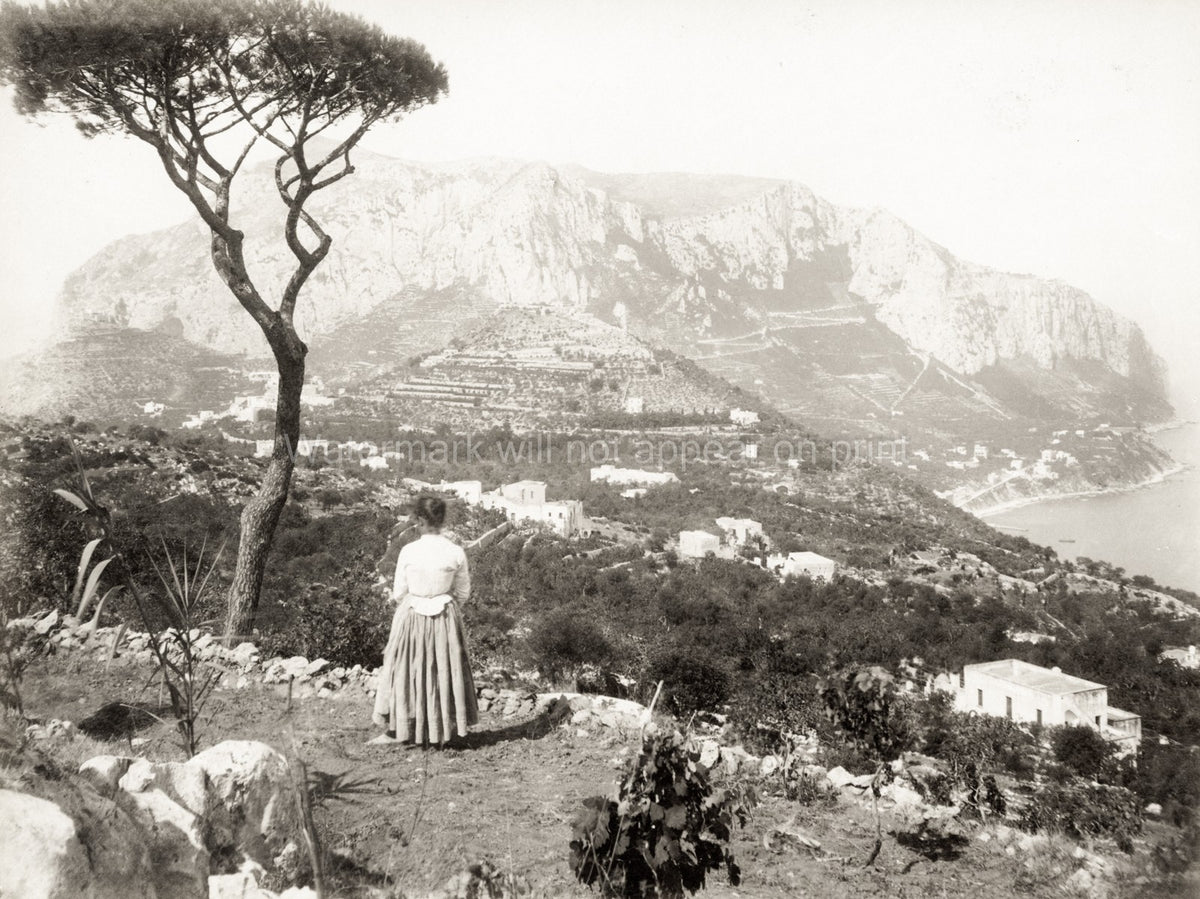 Capri Italy Island View Woman Pine Tree Mountains Coastline Vtg. Photo 19thC.