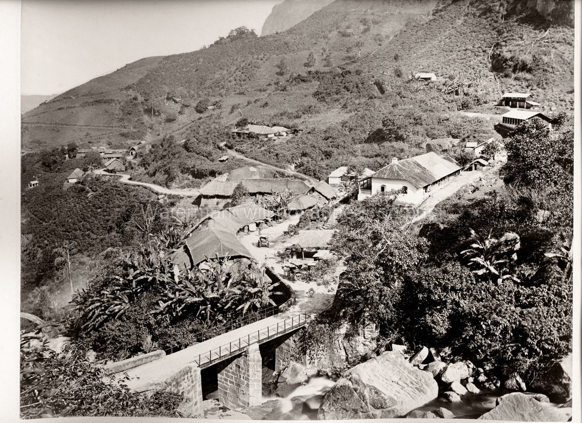 Ceylon Sri Lanka Tea Plantation Village Mountain Landscape Vtg. Photo 19thC.