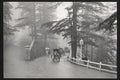Simla India Monsoon Rains Winding Road Porters Sedan Chairs Vtg. Photo 20thC.