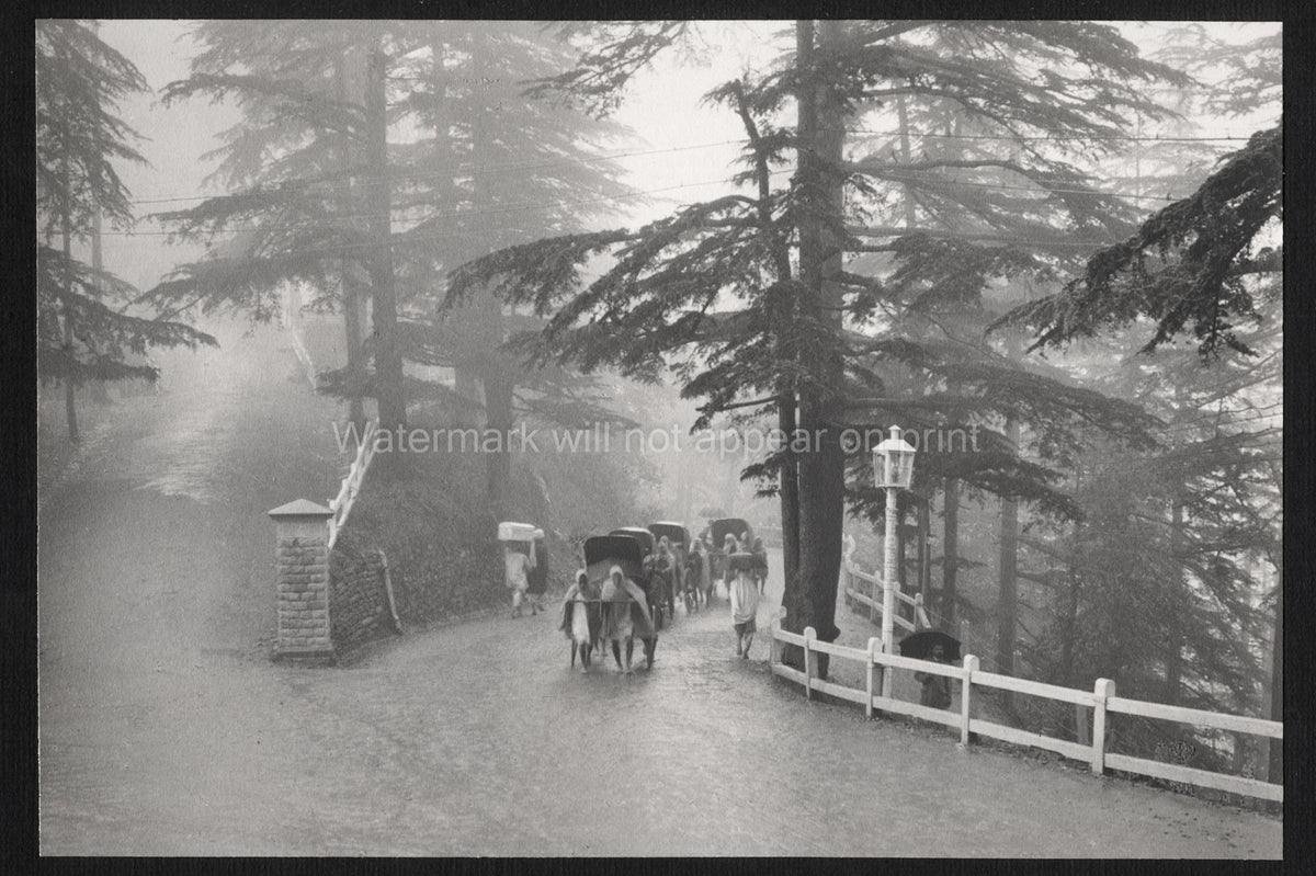 Simla India Monsoon Rains Winding Road Porters Sedan Chairs Vtg. Photo 20thC.