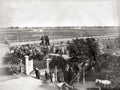 Shanghai China Horse Racing Racecourse Crowd Spectators Track Vtg. Photo 19thC.