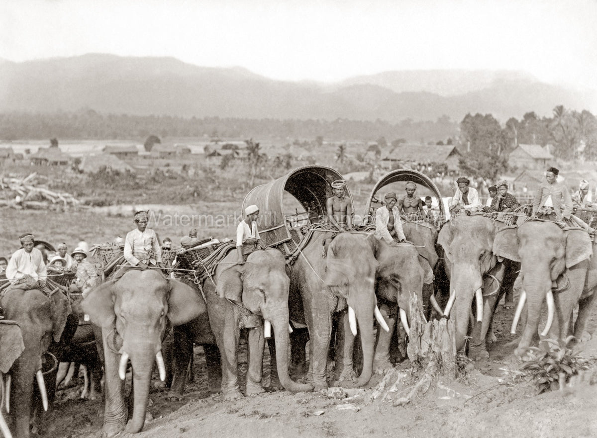 Burma Working Elephants Mahouts Tuskers Caravan Howdahs Vtg. Photo 19thC.